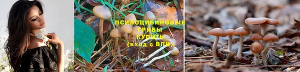 прущая мука Новозыбков